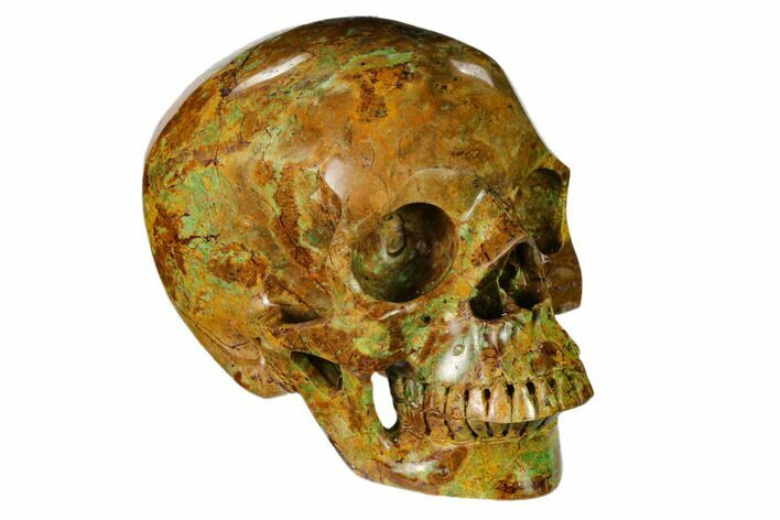 Realistic, Polished Autumn Jasper Skull #150876